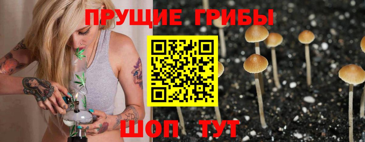 Псилоцибиновые грибы Psilocybe  Вход с VPN  Феодосия  Галлюциногенные грибы MAGIC MUSHROOMS 