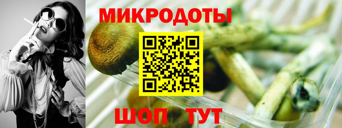 Галлюциногенные грибы прущие грибы Феодосия